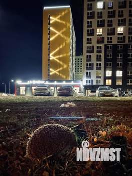 Студия квартира, на длительный срок, 16м2, 10/16 этаж