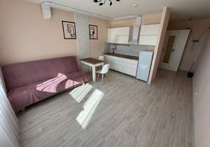 Студия квартира, на длительный срок, 24м2, 4/10 этаж