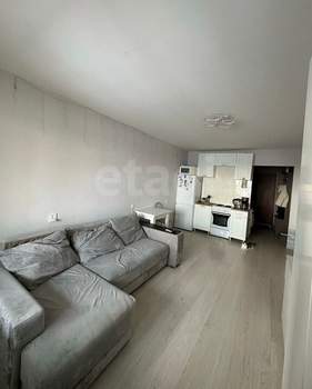 Студия квартира, вторичка, 23м2, 15/17 этаж