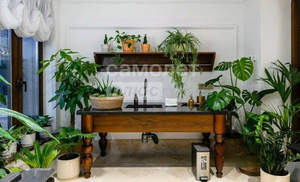 Студия квартира, вторичка, 78м2, 12/17 этаж