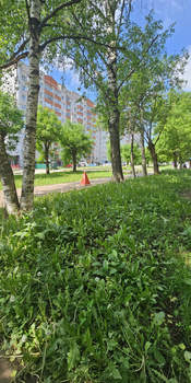 1-к квартира, вторичка, 31м2, 2/5 этаж
