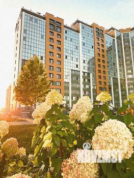 Студия квартира, вторичка, 101м2, 5/14 этаж